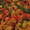 Gekleurde Pasta